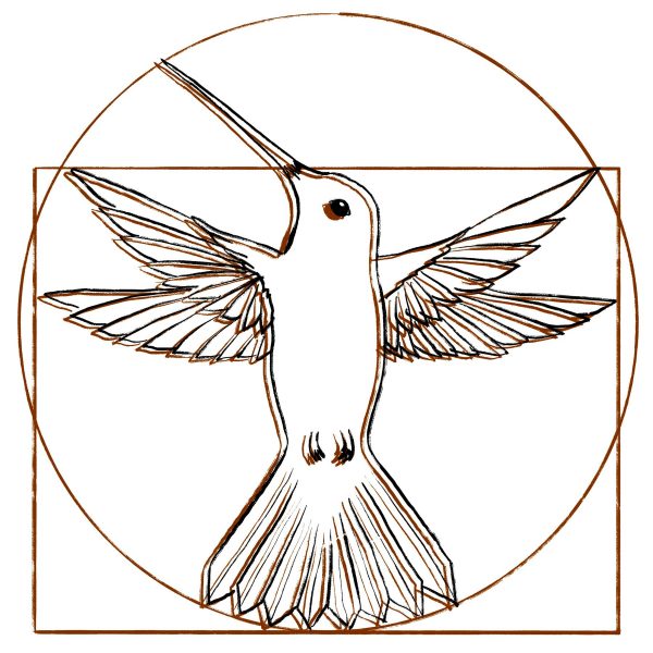 Hombre de Vitruvio Pajaro por Lucia Caceres Alves