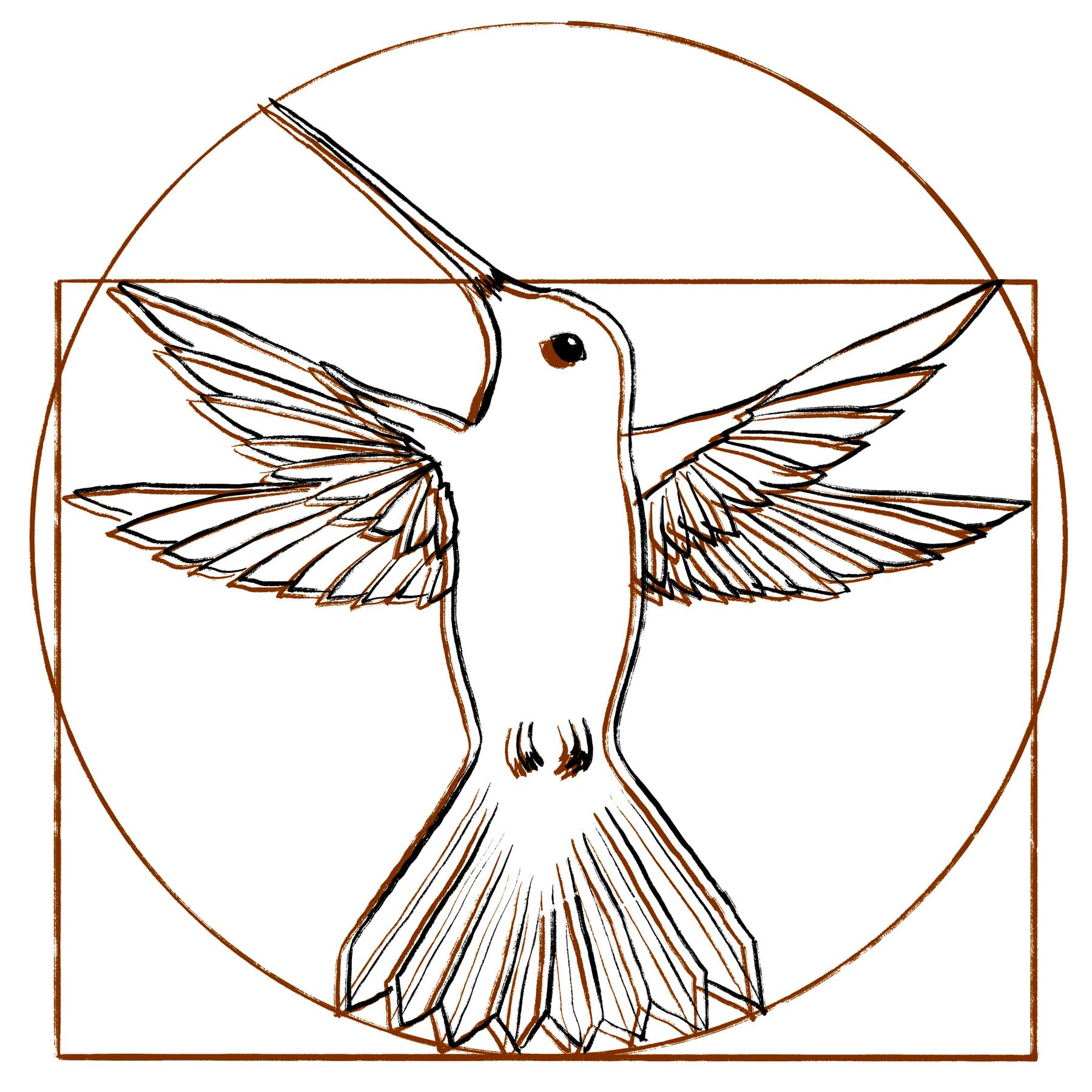 Hombre de Vitruvio Pajaro por Lucia Caceres Alves