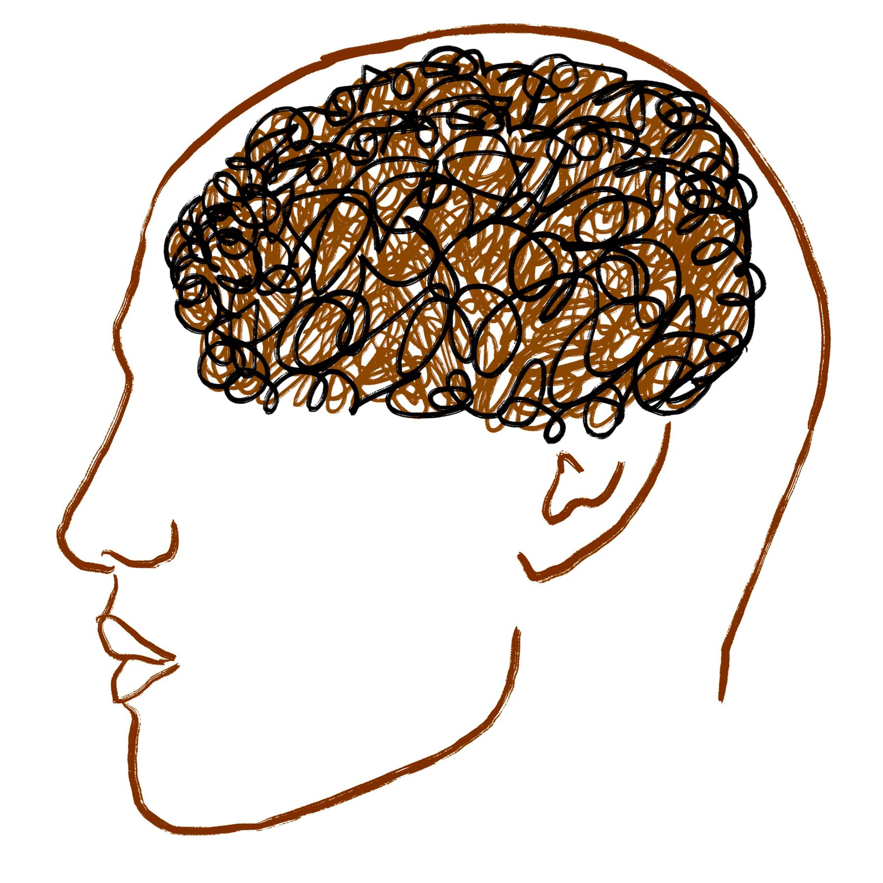 Craneo con cerebro dibujo lineal - Lucia Caceres